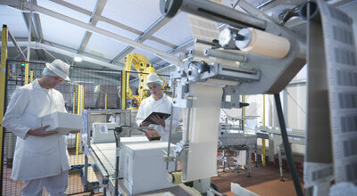 Worker packing boxes in dairy Worker packing boxes in dairy